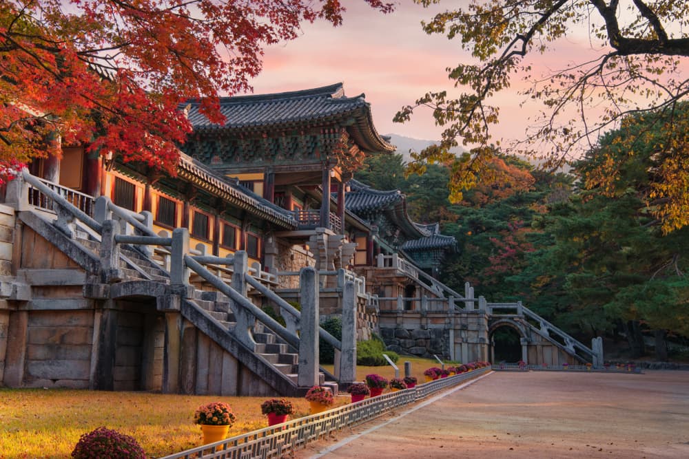 Bestours Viajes Agencia de Viajes a medida comenta los sitios que tienes que visitar en Corea del Sur