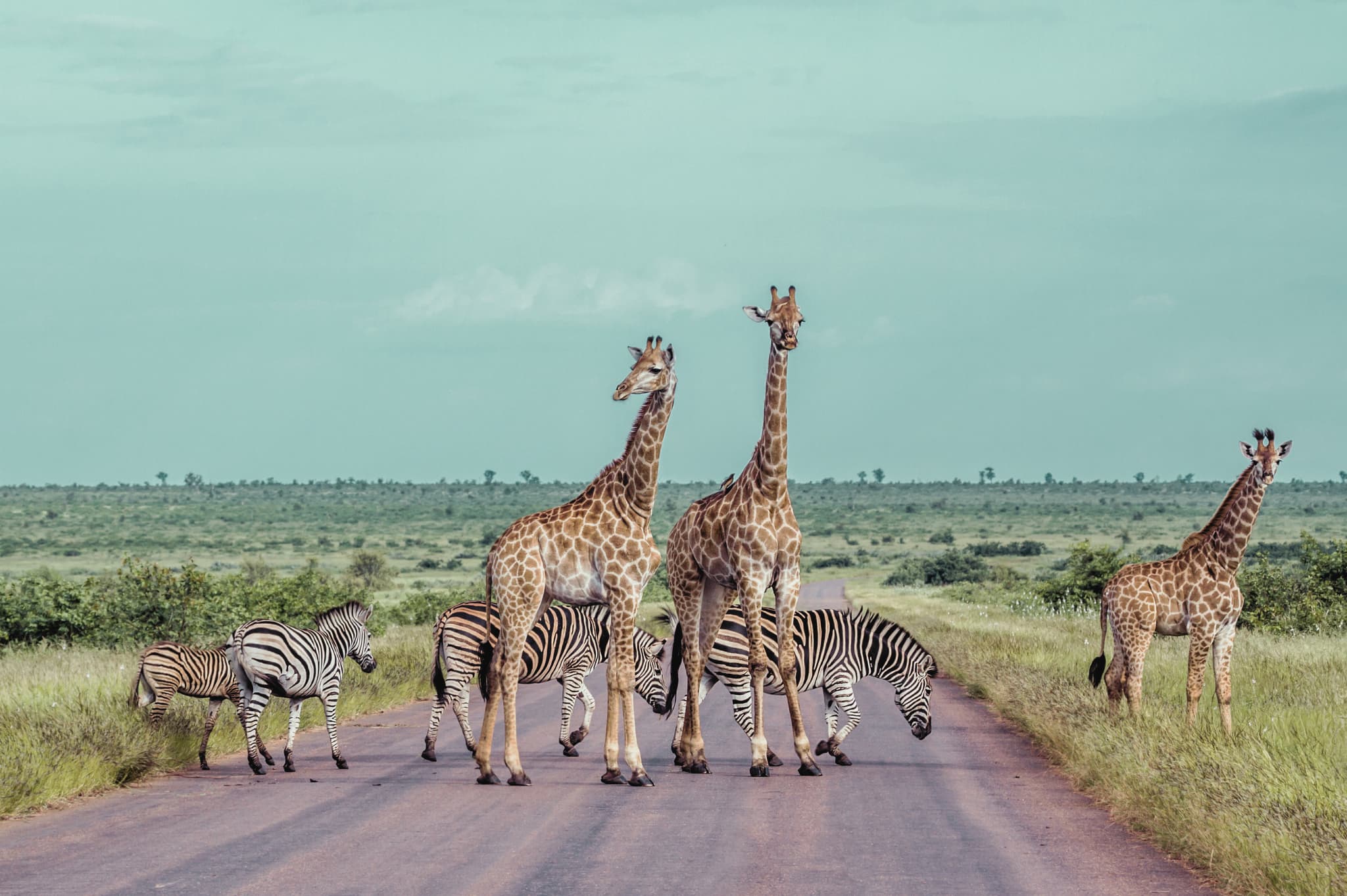 Bestours Viajes - Viaje a Sudáfrica en familia en verano